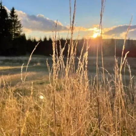 Krusne - Bike Friendly Loucna pod Klinovcem