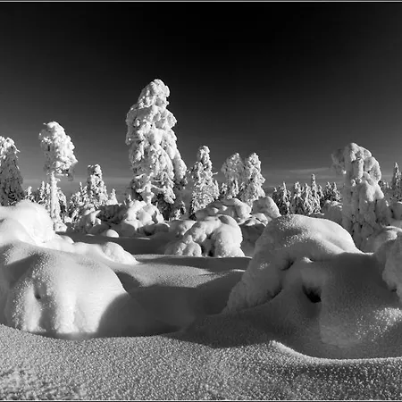 Krusne - Bike Friendly Loučná pod Klínovcem