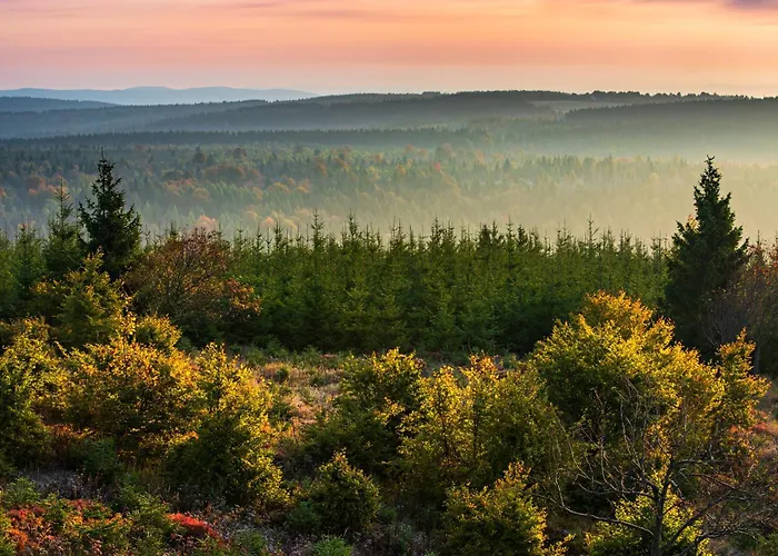 Апартаменты Krusne - Bike Friendly *